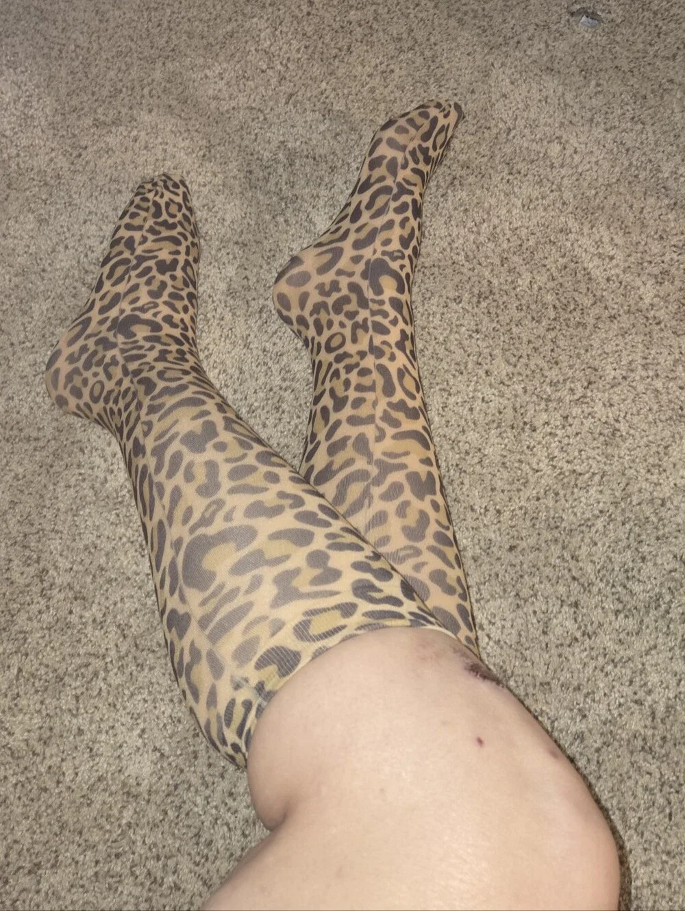 Women's Leopard Print Sheer Nylon Socks - Pantyhose Socks
